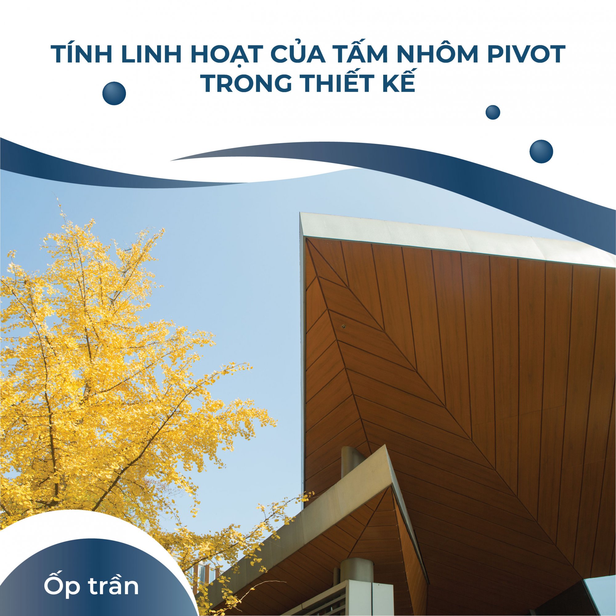 PIVOT-15.08-03